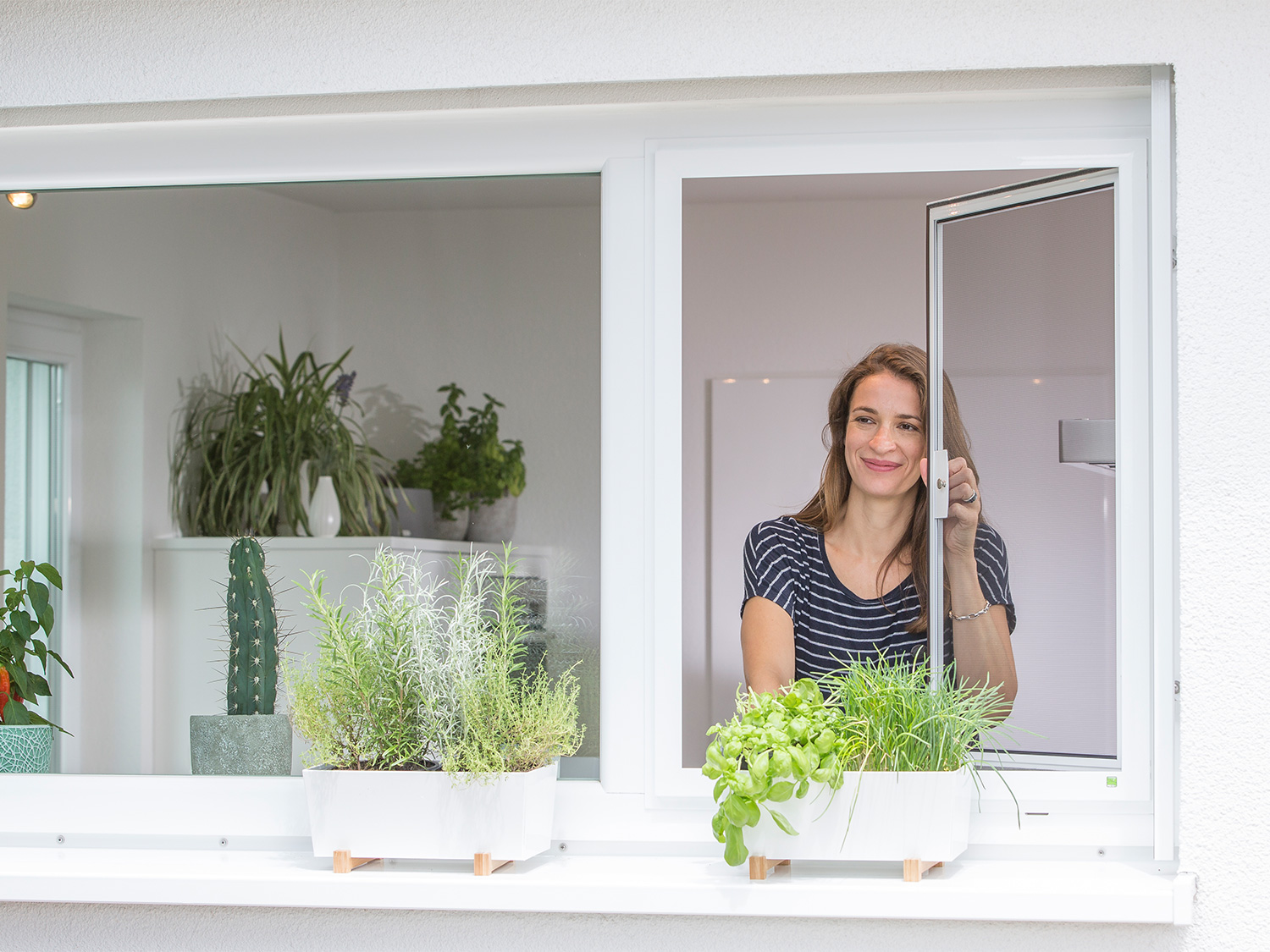 Insektenschutz-Julius-Insektenschutz-Drehfenster